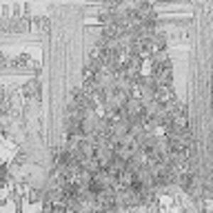 Meet your Posher, Serena